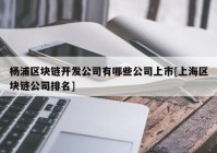 杨浦区块链开发公司有哪些公司上市[上海区块链公司排名]